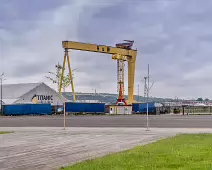 THE DOMINATING CRANES OF BELFAST [SAMSON AND GOLIATH]-235501-1