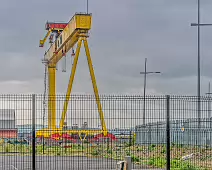 THE DOMINATING CRANES OF BELFAST [SAMSON AND GOLIATH]-235502-1