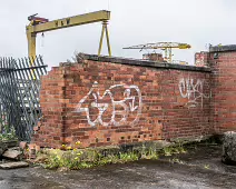 THE DOMINATING CRANES OF BELFAST [SAMSON AND GOLIATH]-235508-1