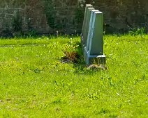 THE CEMETERY AT ST PATRICKS PONTIFICAL UNIVERSITY [31 JULY 2024]-237646-1