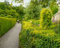 THE WALLED GARDEN [FARMLEIGH ESTATE AND HOUSE]-235799-1