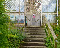 THE WALLED GARDEN [FARMLEIGH ESTATE AND HOUSE]-235800-1