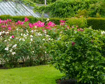 THE WALLED GARDEN [FARMLEIGH ESTATE AND HOUSE]-235801-1