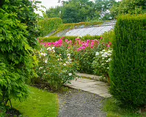 THE WALLED GARDEN [FARMLEIGH ESTATE AND HOUSE]-235802-1