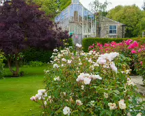 THE WALLED GARDEN [FARMLEIGH ESTATE AND HOUSE]-235804-1