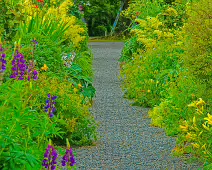 THE WALLED GARDEN [FARMLEIGH ESTATE AND HOUSE]-235809-1