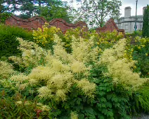 THE WALLED GARDEN [FARMLEIGH ESTATE AND HOUSE]-235811-1