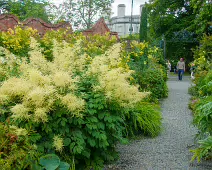 THE WALLED GARDEN [FARMLEIGH ESTATE AND HOUSE]-235812-1