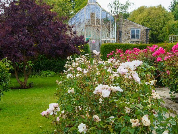 THE WALLED GARDEN The walled garden at Farmleigh House serves as a reminder of the estate's rich history and its commitment to preserving...