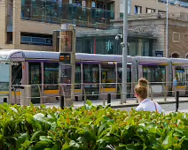 RED LINE TRAM SERVICE [TRAMS TRAVELLING TO AND FROM THE POINT]-236506-1