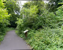 THE HERCULANEAN TEA HOUSE OR TEMPLE AT ST ANNE'S PUBLIC PARK [25 JULY 2024]-237159-1