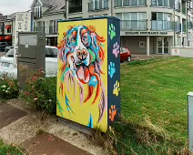 STAY PAWSITIVE BY REBECCA LOW [PAINT-A-BOX STREET ART FOR DOG LOVERS]-237174-1