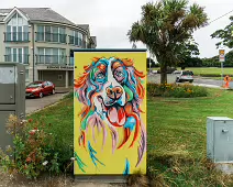 STAY PAWSITIVE BY REBECCA LOW [PAINT-A-BOX STREET ART FOR DOG LOVERS]-237177-1