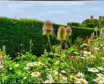 THE WALLED GARDEN AT ST ANNE'S PARK [NO ACCESS TO THE CHINESE PAVILION]-237138-1