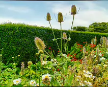 THE WALLED GARDEN AT ST ANNE'S PARK [NO ACCESS TO THE CHINESE PAVILION]-237139-1