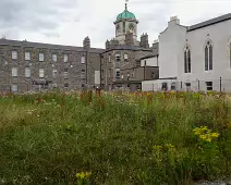 THE TU DUBLIN CAMPUS [GRANGEGORMAN 16 JULY 2024]-236674-1