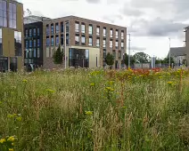 THE TU DUBLIN CAMPUS [GRANGEGORMAN 16 JULY 2024]-236676-1