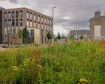 THE TU DUBLIN CAMPUS [GRANGEGORMAN 16 JULY 2024]-236678-1