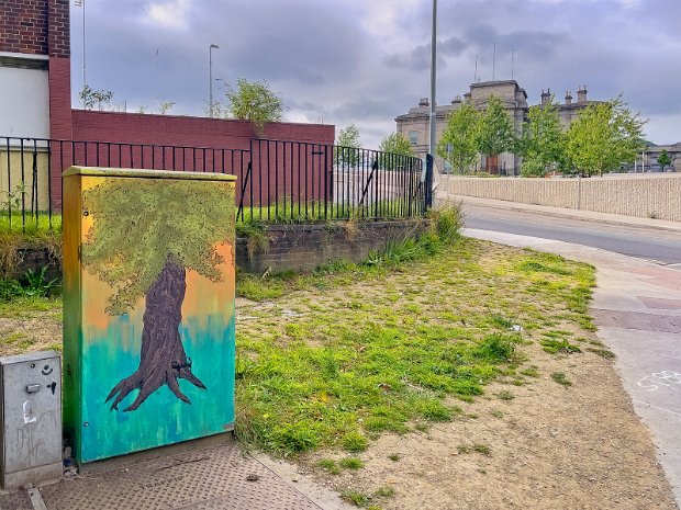 THE HUNGRY TREE While there is a "Paint-a-Box" (electrical box decorated with street art) near the King's Inns on Constitution Hill,...