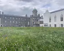 ST BRENDAN'S HOSPITAL [LOWER GRANGEGORMAN]-233749-1