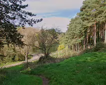 LOWER GLEN ROAD IN PHOENIX PARK MORE ABOUT LOWER GLEN ROAD