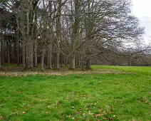 LOWER GLEN ROAD IN PHOENIX PARK MORE ABOUT LOWER GLEN ROAD