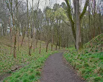 TODAY I VISITED THE FURRY GLEN 003 Down the rushy glen, where nature thrives, a new trail was inaugurated in 1975. This trail through the Furry Glen provides opportunities to learn about the...