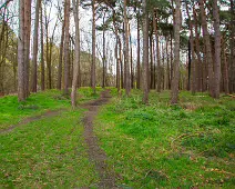 TODAY I VISITED THE FURRY GLEN 005 For fear of little men; Wee folk, good folk, Trooping all together. While there may not be little men, the park is filled with visitors who come to enjoy its...