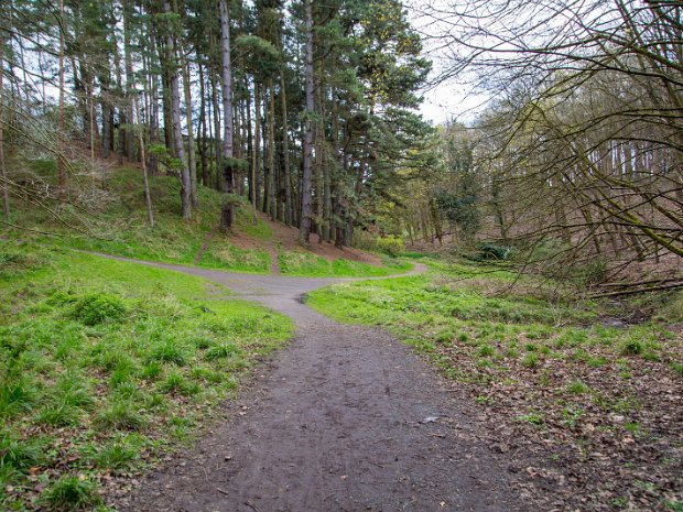 Furry Glen Up the airy mountain, in the heart of Dublin city, lies the Phoenix Park, a vast expanse of greenery and history