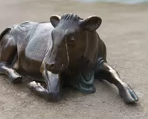 THE BRONZE COW WAS ENJOYING LIFE BACK IN 2016 [BUT IT IS NOW LONELY AS IT WAS RELOCATED TO WOOD QUAY]-233988-1