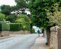 EXPLORING ULVERTON ROAD [THE STREETS OF DALKEY JUNE 2024]-235322-1