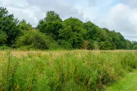 BISHOPS MEADOWS RIVER WALK [RIVER NORE LINEAR PARK]-195488-1