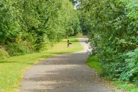 BISHOPS MEADOWS RIVER WALK [RIVER NORE LINEAR PARK]-195491-1