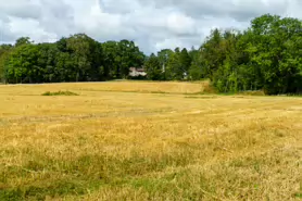 BISHOPS MEADOWS RIVER WALK [RIVER NORE LINEAR PARK]-195496-1