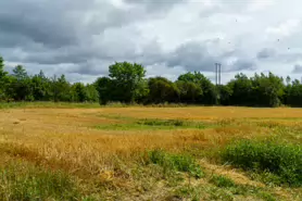 BISHOPS MEADOWS RIVER WALK [RIVER NORE LINEAR PARK]-195502-1