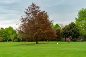 kilkenny-castle-and-grounds---may-2016-012