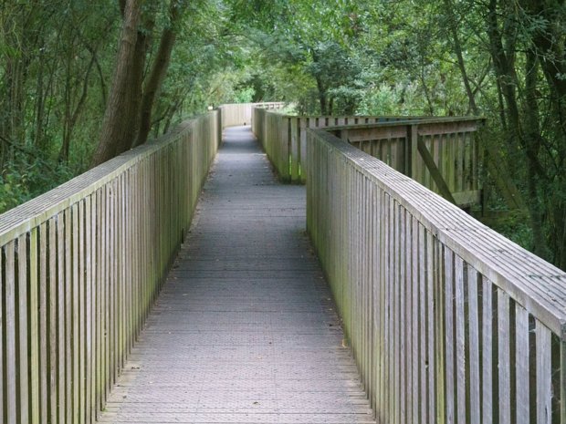 THE NEWER BOARDWALK SECTION OF THE LACKEN WALK - KILKENNY The upgraded walkway, which cost €110,000, is a 1.6km stretch along the Nore riverbank from Maudlin Street as far as the...