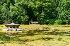 kilkenny-castle-duck-pond-004