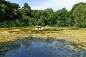 kilkenny-castle-duck-pond-005