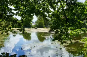 kilkenny-castle-duck-pond-010