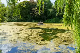 kilkenny-castle-duck-pond-011