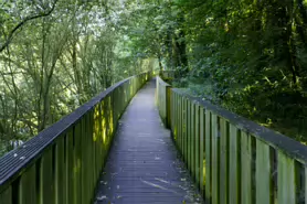 LACKEN WALK [MAUDLIN STREET - OSSORY BRIDGE]-195707-1