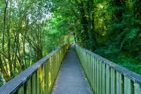 LACKEN WALK [MAUDLIN STREET - OSSORY BRIDGE]-195708-1