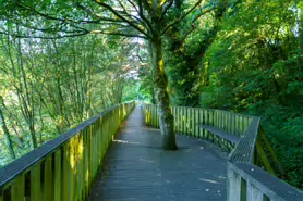 LACKEN WALK [MAUDLIN STREET - OSSORY BRIDGE]-195711-1