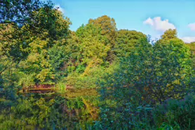 LACKEN WALK [MAUDLIN STREET - OSSORY BRIDGE]-195712-1