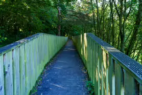 LACKEN WALK [MAUDLIN STREET - OSSORY BRIDGE]-195713-1