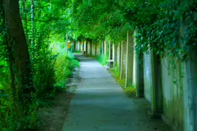 LACKEN WALK [MAUDLIN STREET - OSSORY BRIDGE]-195716-1