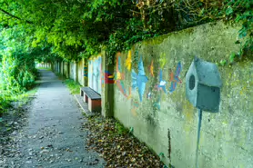 LACKEN WALK [MAUDLIN STREET - OSSORY BRIDGE]-195719-1