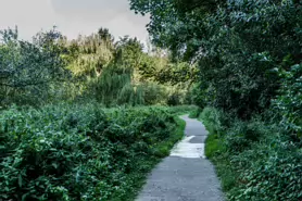 LACKEN WALK [MAUDLIN STREET - OSSORY BRIDGE]-195720-1