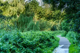 LACKEN WALK [MAUDLIN STREET - OSSORY BRIDGE]-195721-1